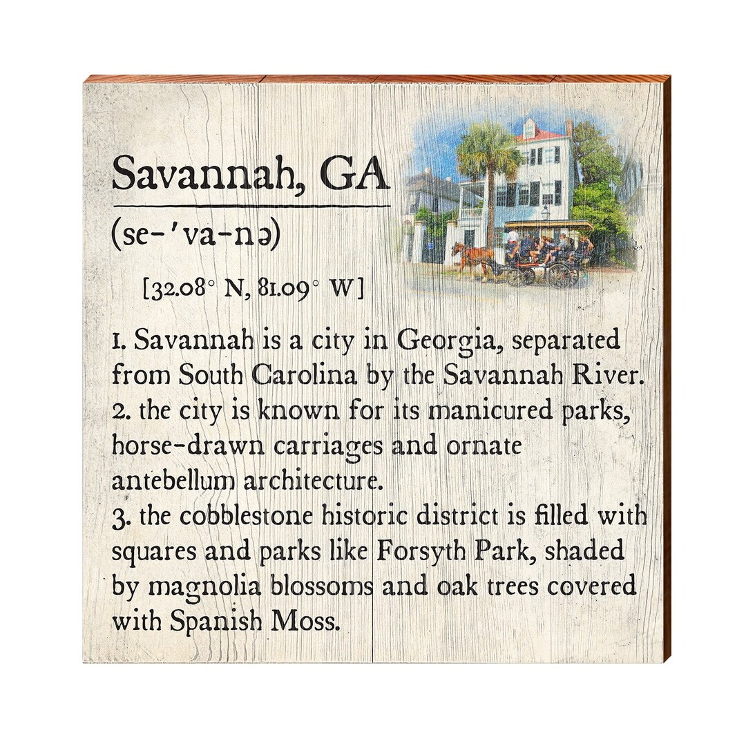 Savannah Definition Wooden Sign Wall Art Print on Etsy