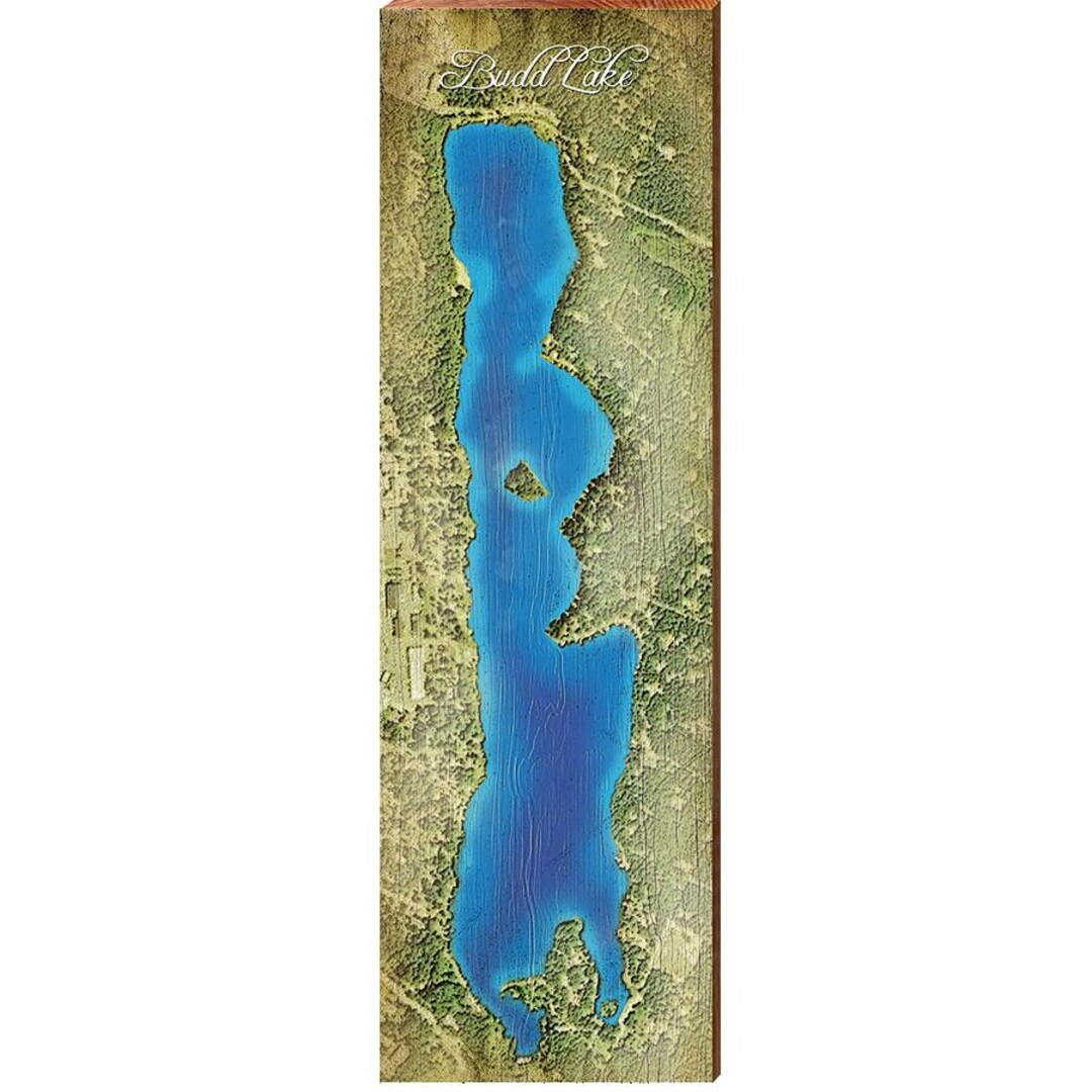 Budd Lake Michigan Map Wall Art on Real Wood Etsy