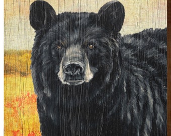 Black Bear Field Background | Wall Art Print on Real Wood