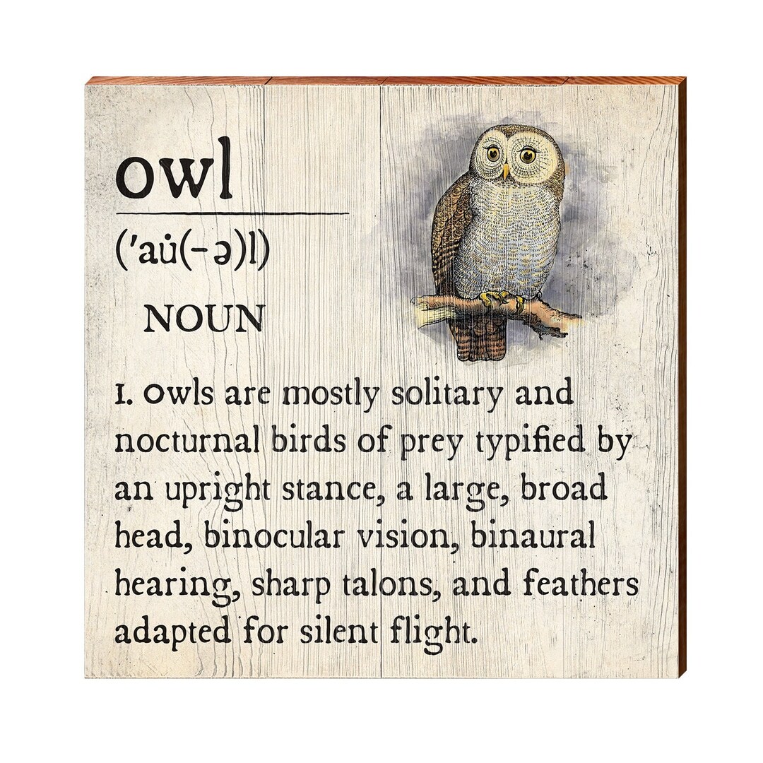 Owl Definition Wooden Sign Wall Art Print on Real Wood Bird Home Decor ...