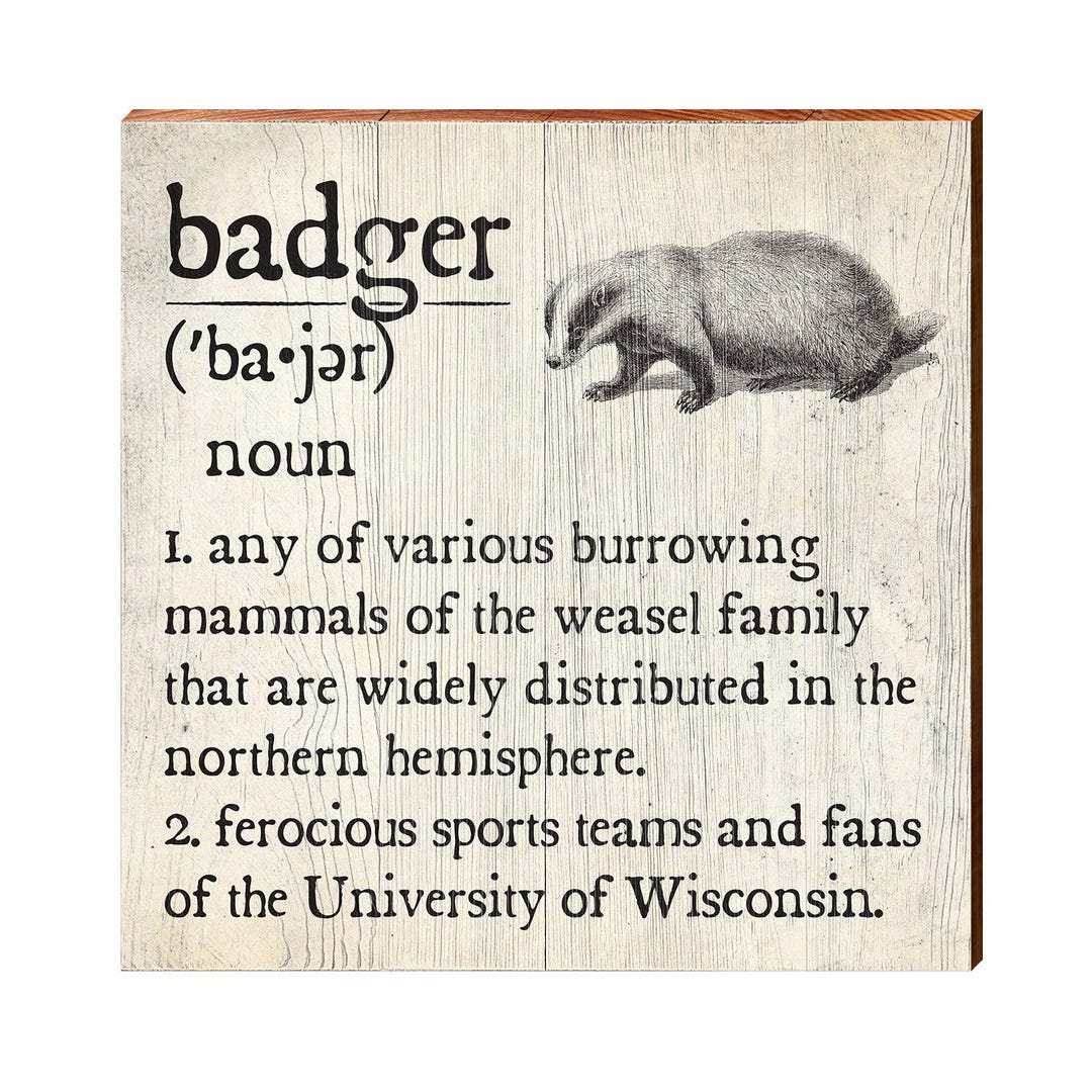 Badger Def Badger Definition Wooden Sign | Wall Art Print on Real Wood - Etsy