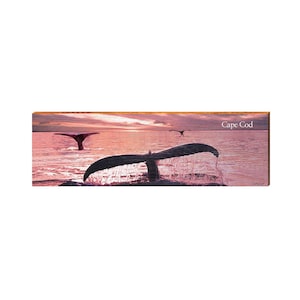 Cape Cod Whale Tail | Real Wood Art Print