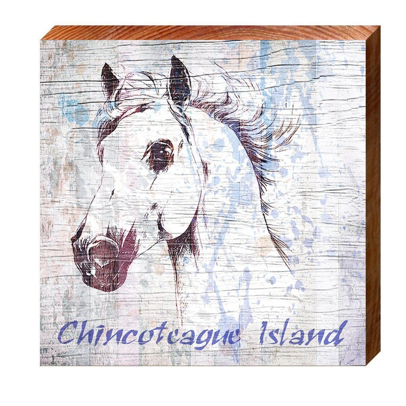 Chincoteague Island Horse Wall Art Print on Real Wood Etsy