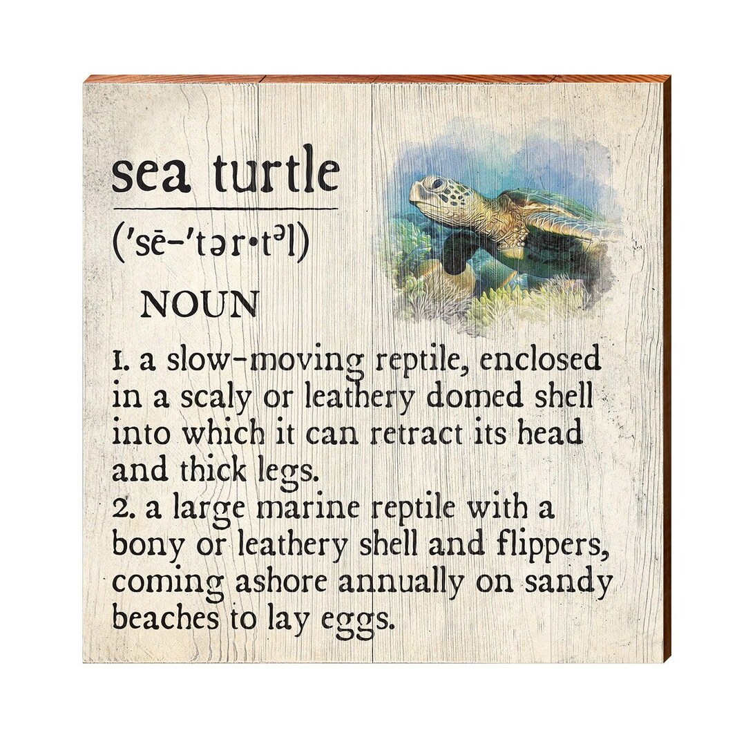 Sea Turtle Definition Wooden Sign | Wall Art Print on Real Wood ...