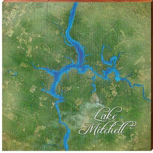Mitchell Lake, Alabama Satelliten Karte | Wand-Kunstdruck auf Echtholz