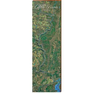 Décoration murale carte satellite de Little Rivers, Alabama | Impression d'art mural sur bois véritable