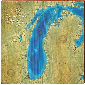 Cuadro topográfico estilizado del lago Michigan / Impresión de arte mural sobre madera auténtica