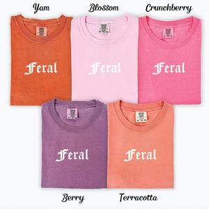 Puede incluir: Cinco camisetas de diferentes colores con la palabra "Feral" impresa en blanco en la parte delantera. Los colores son: Yam, Blossom, Crunchberry, Berry y Terracotta.