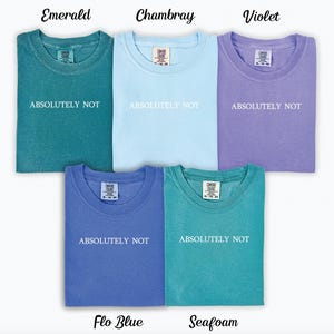 May include: Five t-shirts in different colours, each with the text "ABSOLUTELY NOT" printed on the front. The colours are emerald, chambray, violet, flo blue, and seafoam.