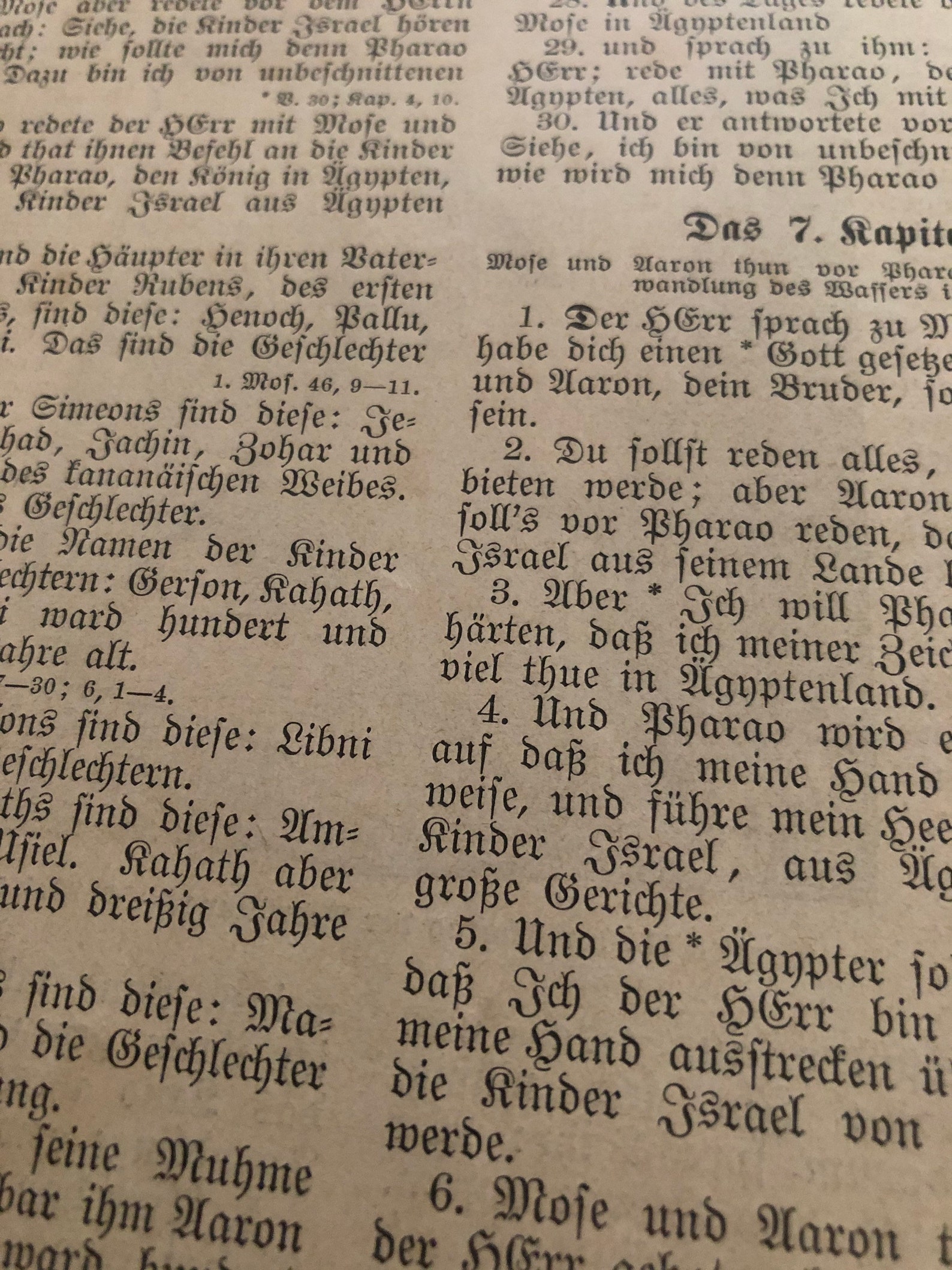 Antique German Bible Pages Illustrated Luther Bible About - Etsy