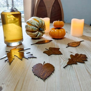 May include: A still life arrangement featuring a glass bottle with a cork, gourds, candles, and decorative leaf cutouts. The bottle contains a golden liquid. The gourds are orange and green. The leaves are brown and gold.