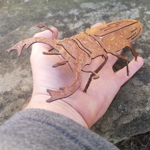 Rusty Metal Stag Beetle 3d Sculpture  / Beetle Gift / Bug Gift / 3d Metal Art / Giant Insect / Metal Sculpture