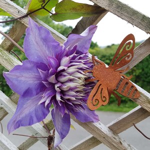 K&ouml;nnte beinhalten: Eine violette Clematis-Blume mit einer rostigen Metall-Bienendekoration an einem Holzgitter.