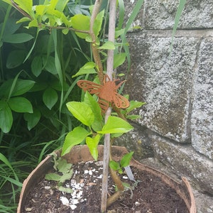 K&ouml;nnte beinhalten: Ein kleiner Baum mit gr&uuml;nen Bl&auml;ttern, der in einem Terrakotta-Topf w&auml;chst. Eine rostige Metall-Bienendekoration ist am Baumstamm befestigt.