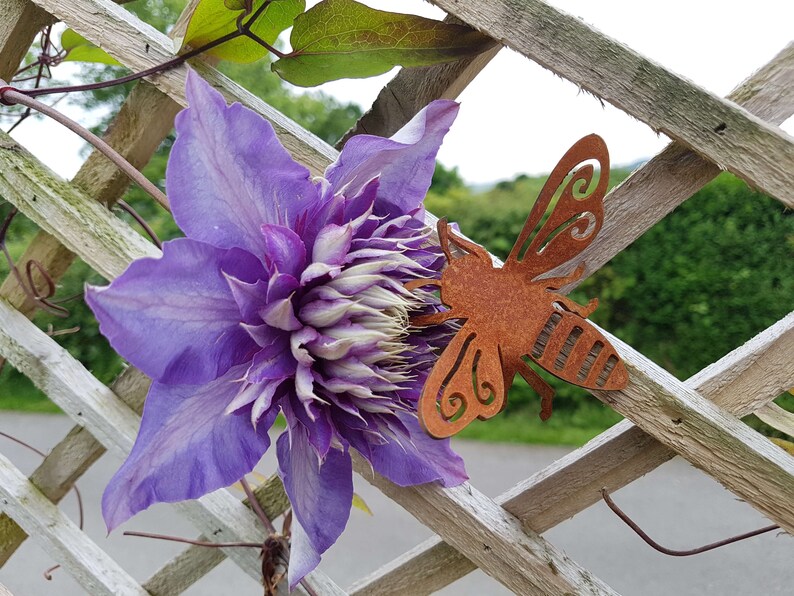K&ouml;nnte beinhalten: Eine violette Clematis-Blume mit einer rostigen Metall-Bienendekoration an einem Holzgitter.