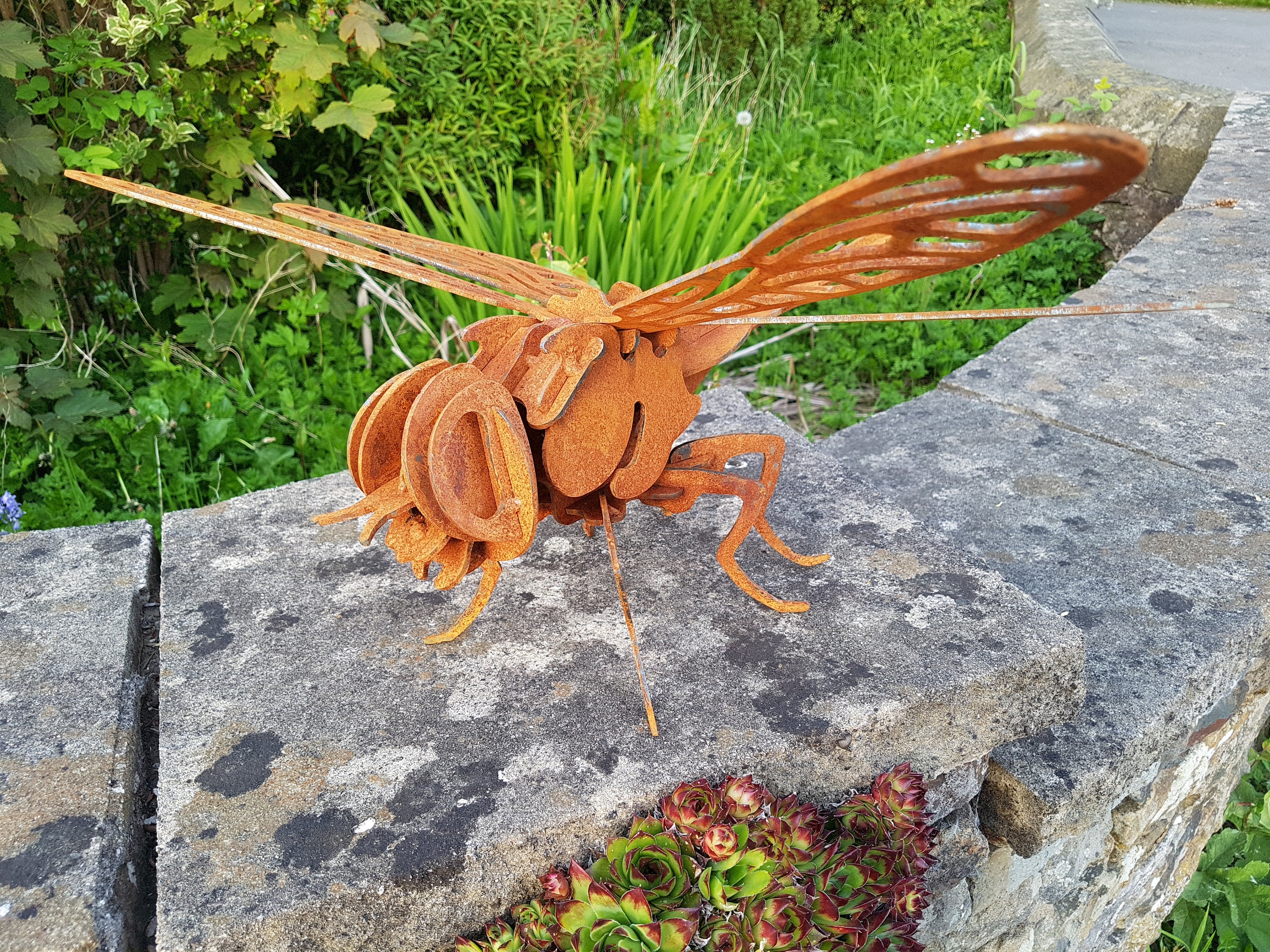 Rusty Metal Dragonfly Garden Insect Garden Ornaments Art 3D Dragonfly  Dragonfly Gift -  UK