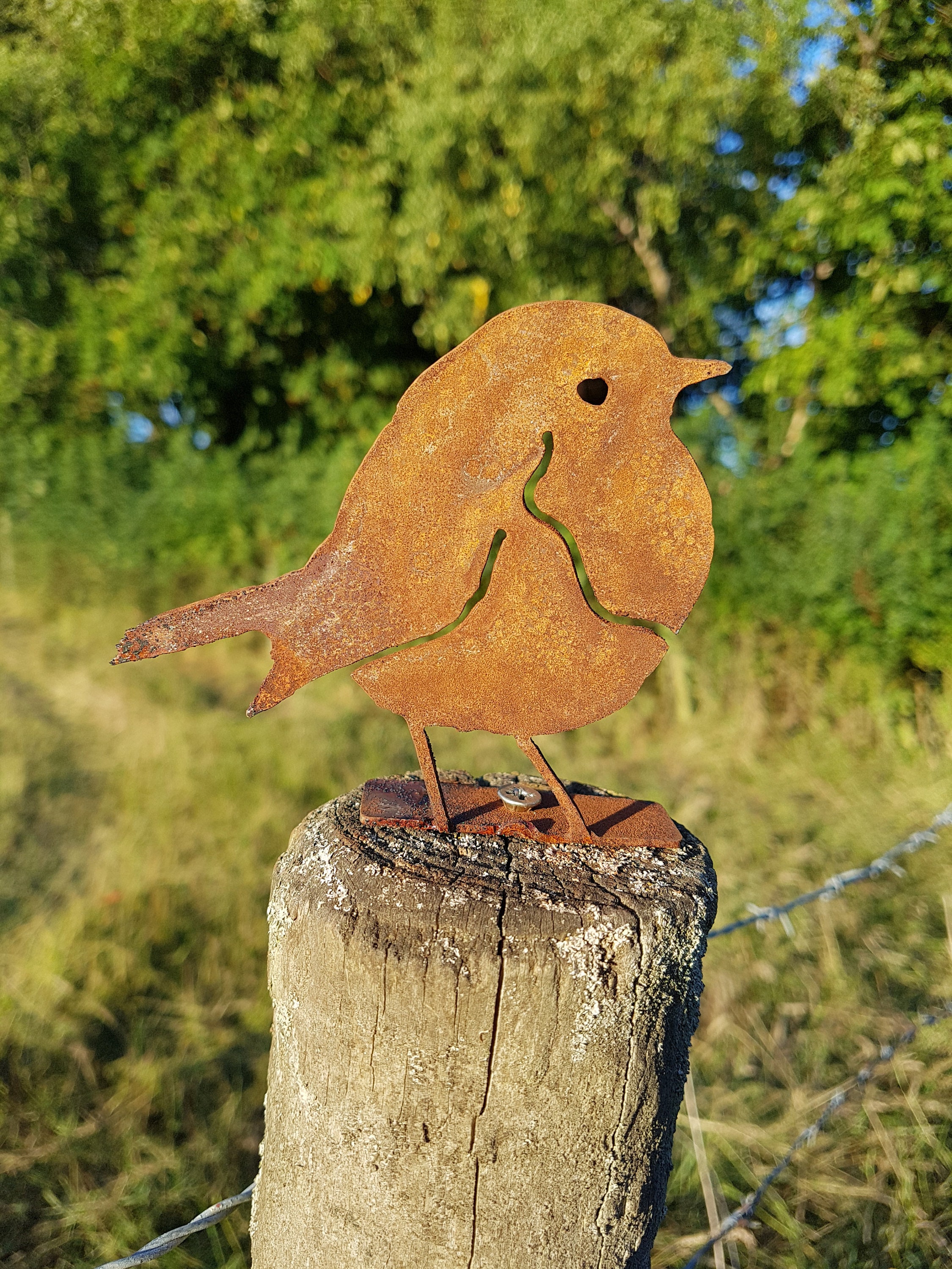 Rusty Metal Robin - Steel Robin Decoration - Rusty Bird - Wild