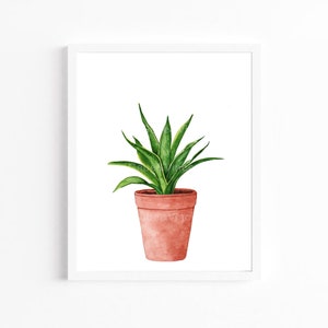 Peut inclure: Une peinture à l'aquarelle d'une plante serpent en pot avec des feuilles vertes et un pot en terre cuite.