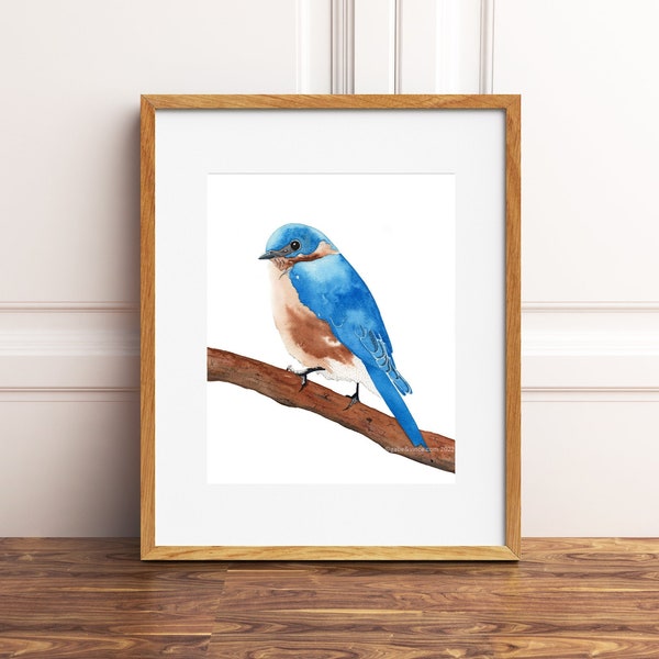 Bluebird Watercolor Printable, Printable Bird Art, Bluebird, Home Decoration, Bluebird Art Print, Watercolor, INSTANT DOWNLOAD