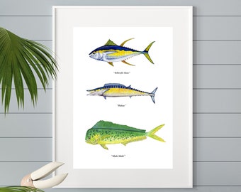 May include: A white framed print with three illustrations of fish. The top fish is yellow and blue with the text "Yellowfin Tuna". The middle fish is blue and yellow with the text "Wahoo". The bottom fish is green and yellow with the text "Mahi Mahi".