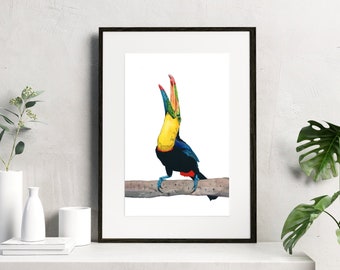 Toucan Bird Watercolor Print, Toucan Bird Print, Coastal Tropical Wall Art, Beach House Wall Art, Toucan Bird Art Print, Toucan, Watercolor