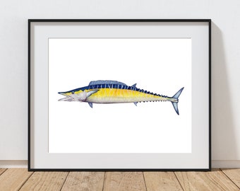May include: A watercolor painting of a Wahoo fish with blue and yellow stripes on a white background.