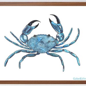 Blue Crab Watercolor Print, Blue Crab, Coastal Wall Art, Beach House Wall Art, Home Decor, Blue Crab Art Print, Watercolor, PHYSICAL PRINT