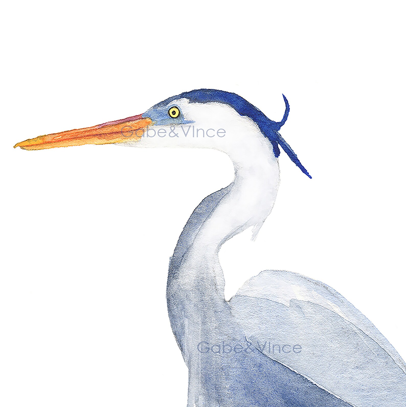 Great Blue Heron Watercolor Print Blue Heron Print Coastal | Etsy