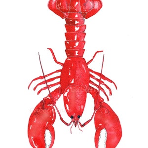 Red Lobster Printable Digital Download, Lobster Print, Lobster ...