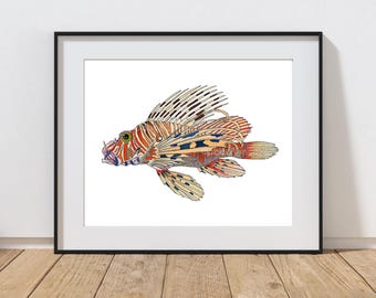 ミノカサゴの水彩画アートプリント：海の魚のイラストの壁飾り - Etsy 日本