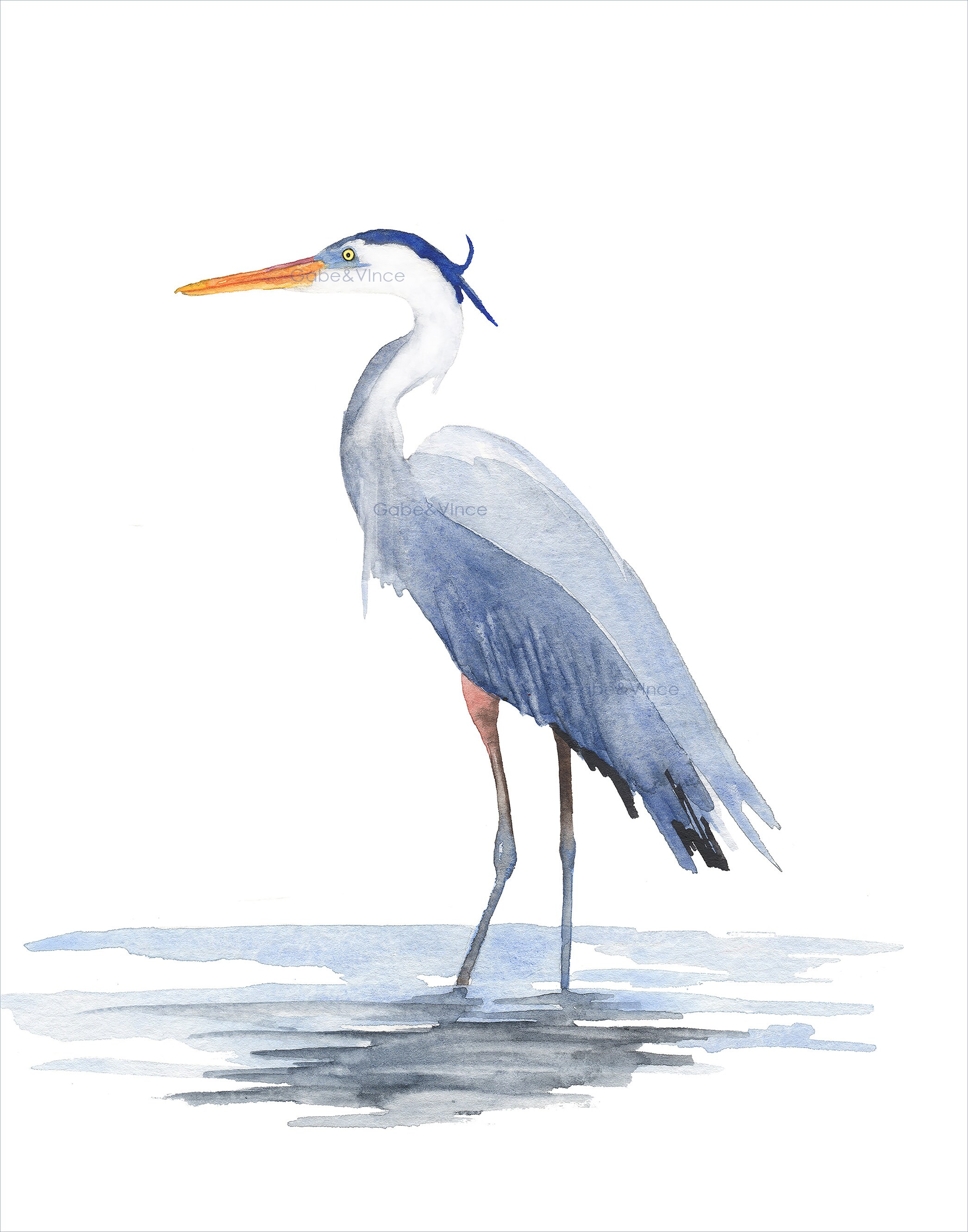 Great Blue Heron Watercolor Print Blue Heron Print Coastal | Etsy