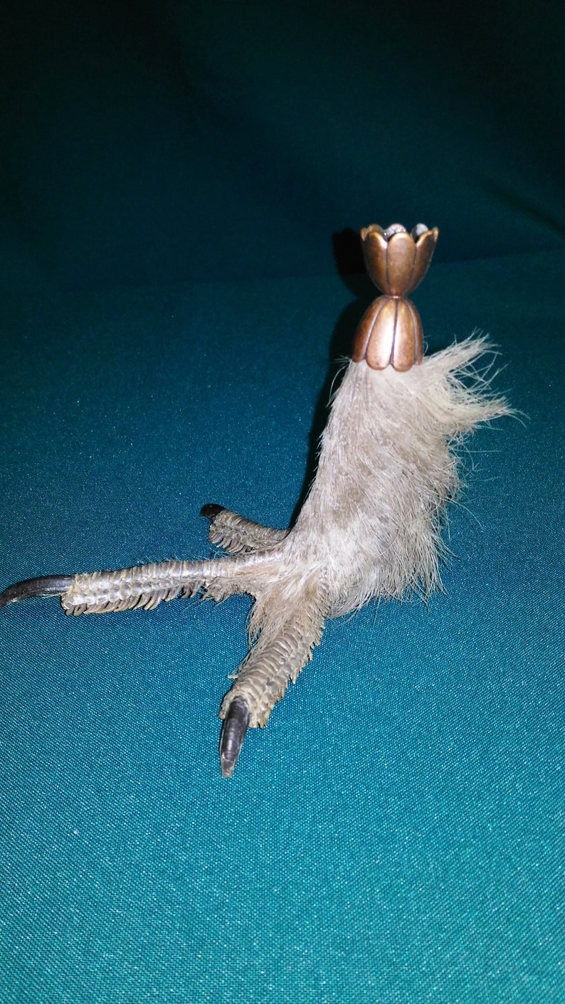 Harpy foot candlestick