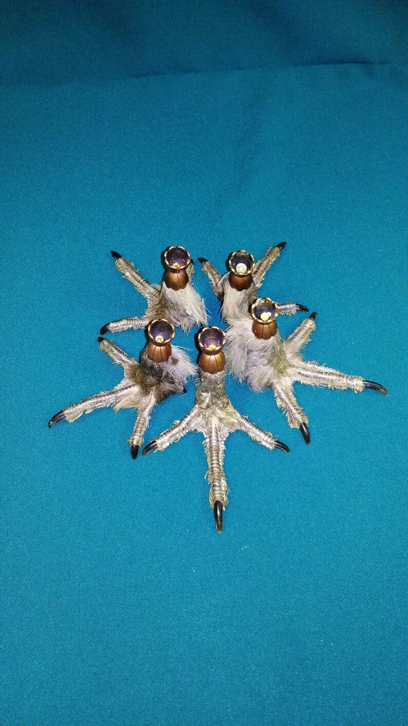 Harpy foot candlestick