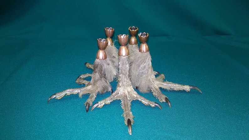 Harpy foot candlestick