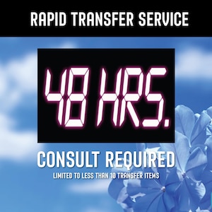 RAPID TRANSFER (Expedited 48 Hours to 1 Week Service)