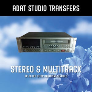 ADAT Transfer to DIGITAL FILES  (Click Item Details and read carefully)