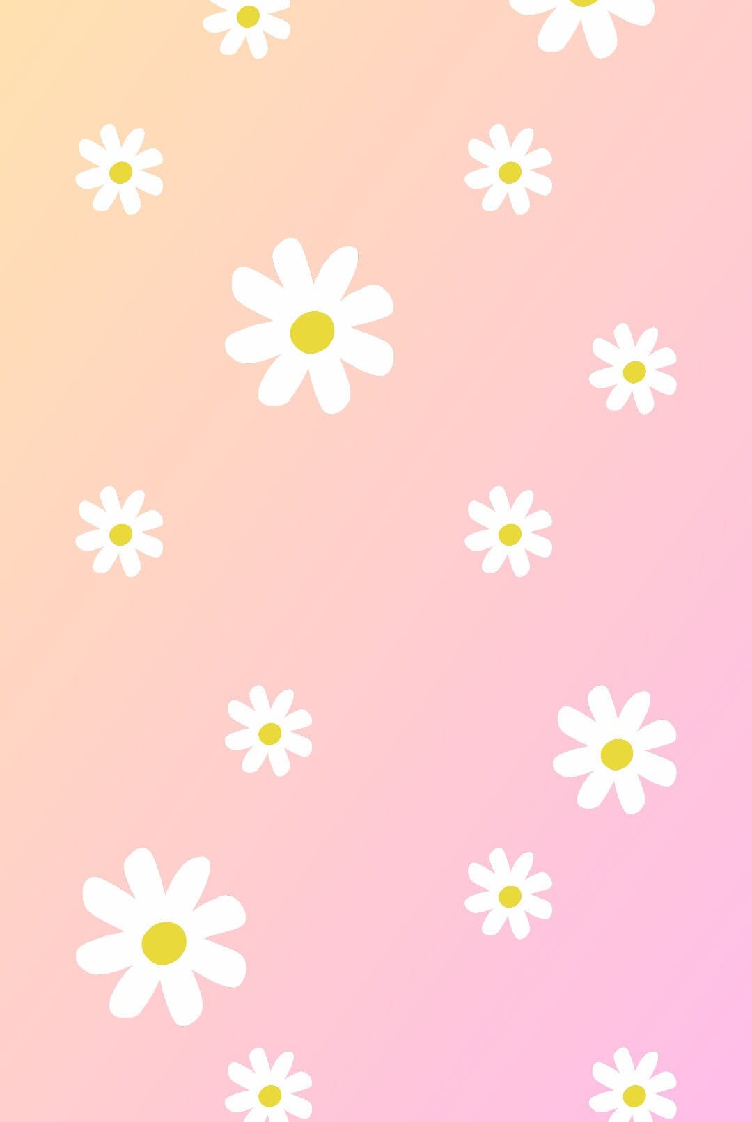 Download wallpaper 1125x2436 close up, pink daisy, bloom, iphone x,  1125x2436 hd background, 2708