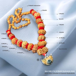 Siddha Rudraksha Mala1 to 14 Mukhi, Ganesh, Gaurishankar Rudraksha, Original Nepal Medium Size Beads Lab Certified meditation necklace 001
