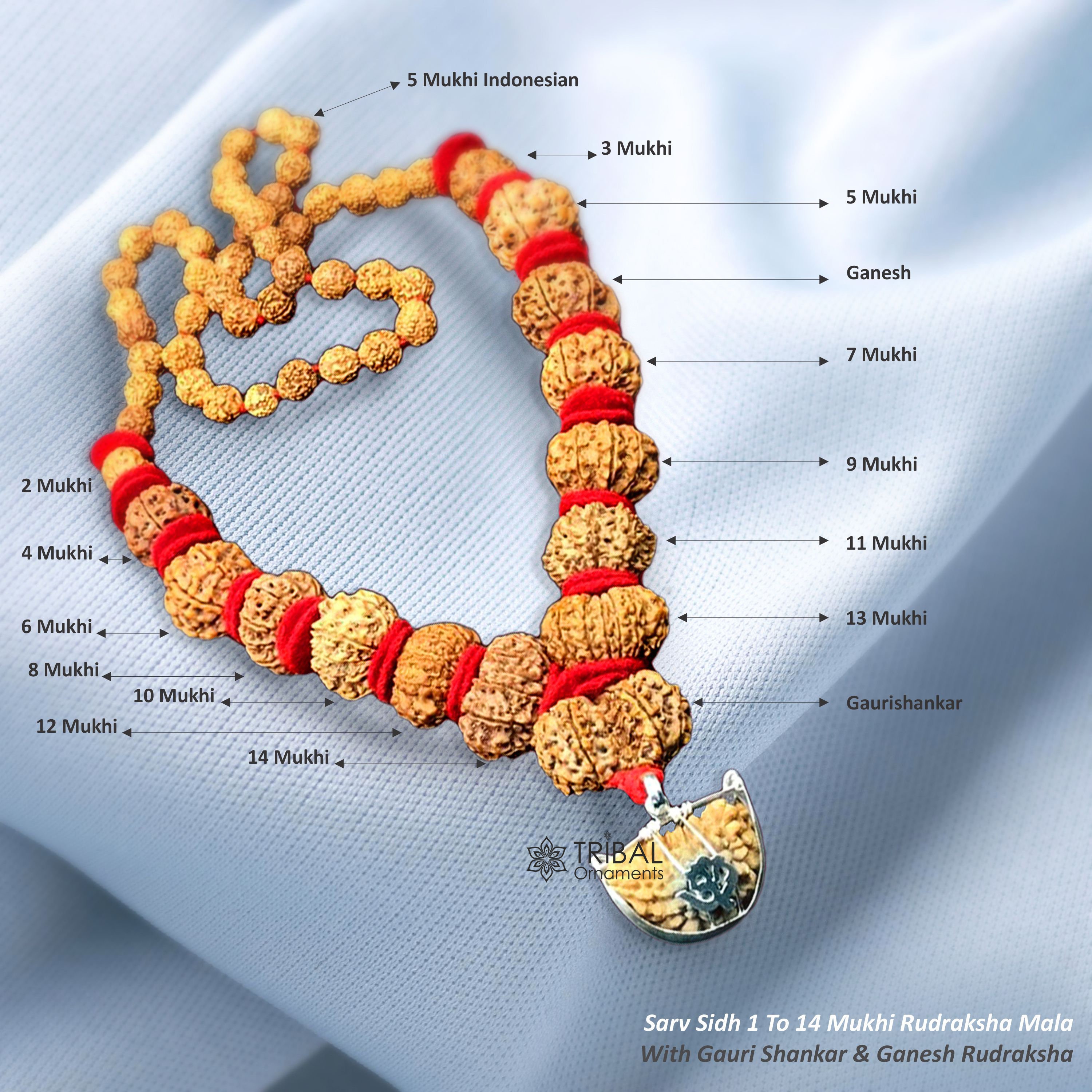 Certified 7 Mukhi Nepali Rudraksha Bracelet