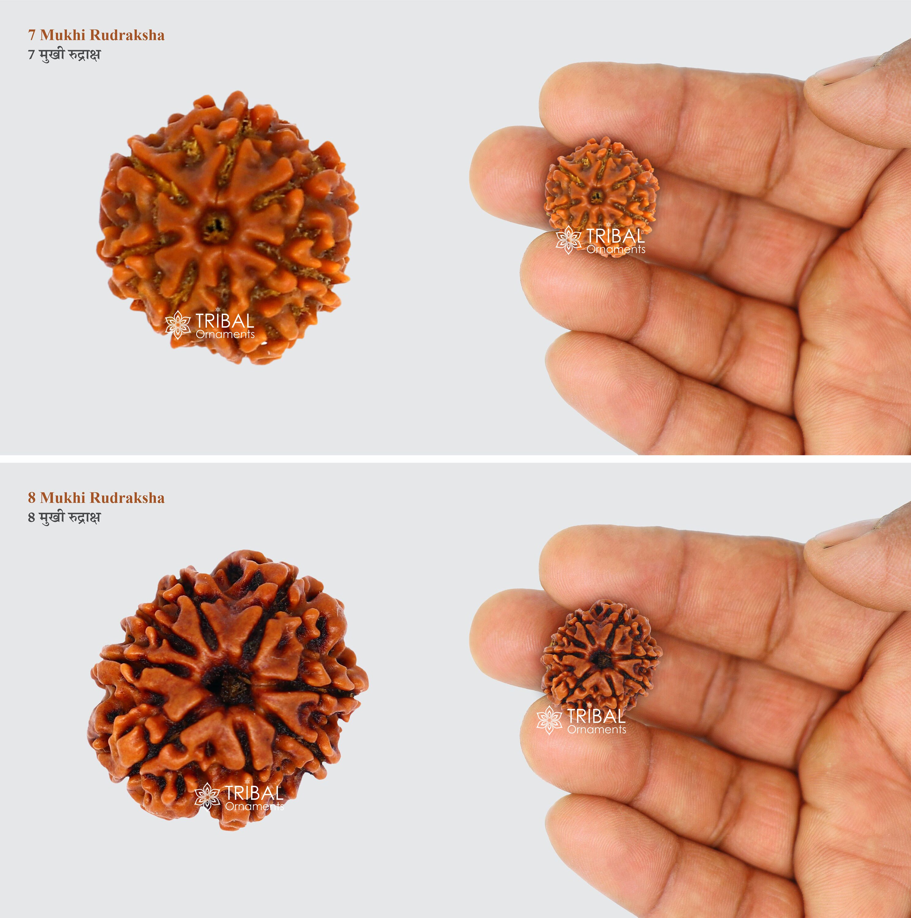 55Carat Kies je originele Rudraksha Nepal hanger van 1 tot 13 Mukhi Ganesha Gauri Shankar van 925 sterling zilver voor dames en heren, hout, Rudraksha