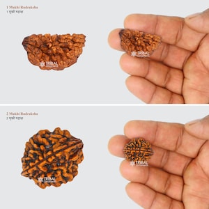 1 TO 11 Mukhi and Gorishankar and Ganesha Natural rudraksha, Nepali Rudraksha kavacham, best meditation beads r005