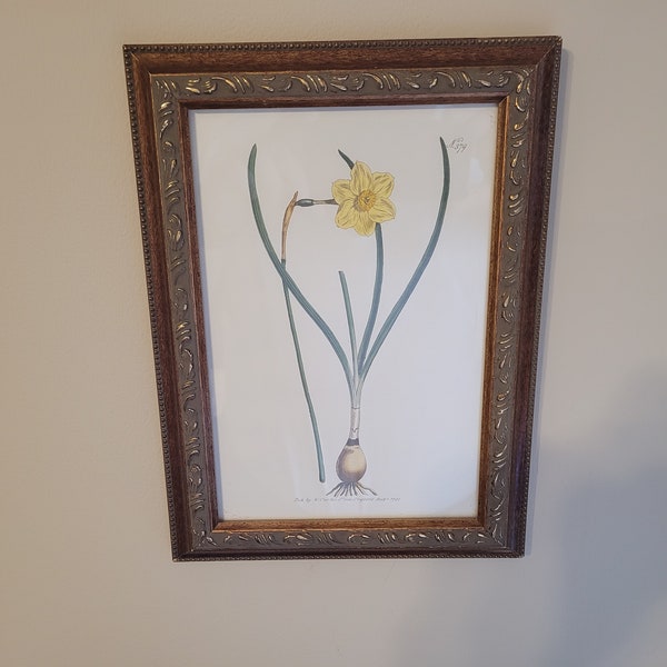 Bombay Framed Art Etsy