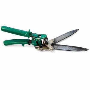 May include: Green handled garden shears with silver blades. The shears have a spring mechanism and are designed for trimming plants. The handles are a bright green color, and the blades show signs of use.