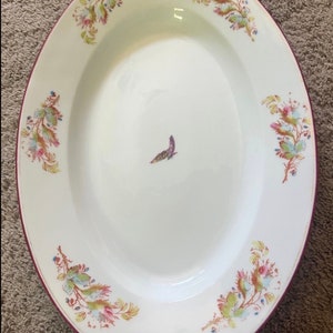 Elegant Collectible Vintage Pfaltzgraff Turkey Serving Platter for Dining