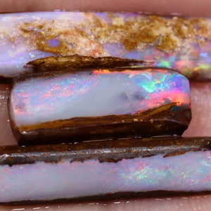 6.07 Carats Jundah Pipe Wood Replacement Fossil Rough Parcel