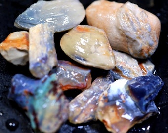 97,55 karaat Lightning Ridge Dark Opal Rough Parcel (houtfossiel)