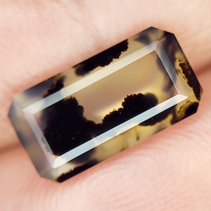 1.18 Carats FACETED Montana Dendritic Agate
