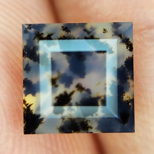 1.13 Carats FACETED Montana Dendritic Agate