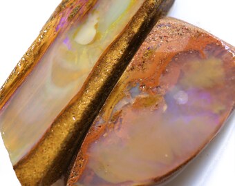 May include: Two pieces of rough opal, one with a golden brown base and the other with a reddish brown base. Both pieces have iridescent colours, including purple, blue, and green.