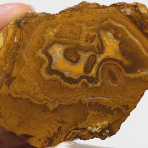 May include: A polished slab of brown agate featuring intricate, concentric banding patterns in shades of tan, ochre, and dark brown, with subtle iridescent highlights visible within the layered mineral structure.